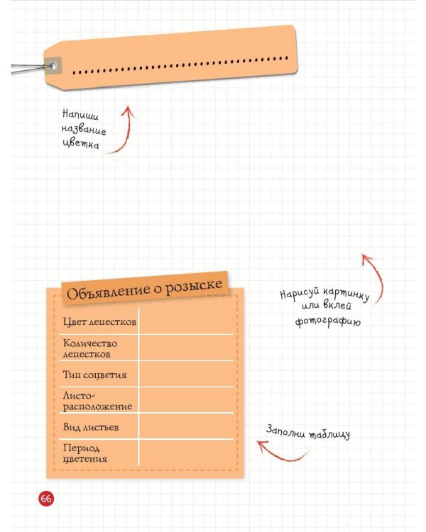 Мой первый гербарий