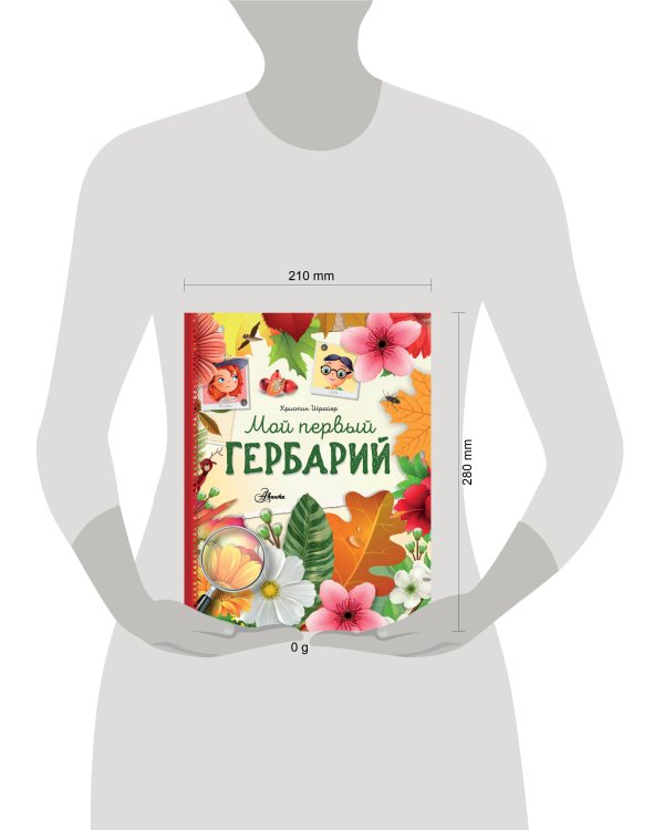 Мой первый гербарий
