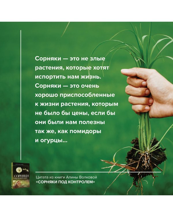 Сорняки под контролем. Избавляемся от нежелательных соседей