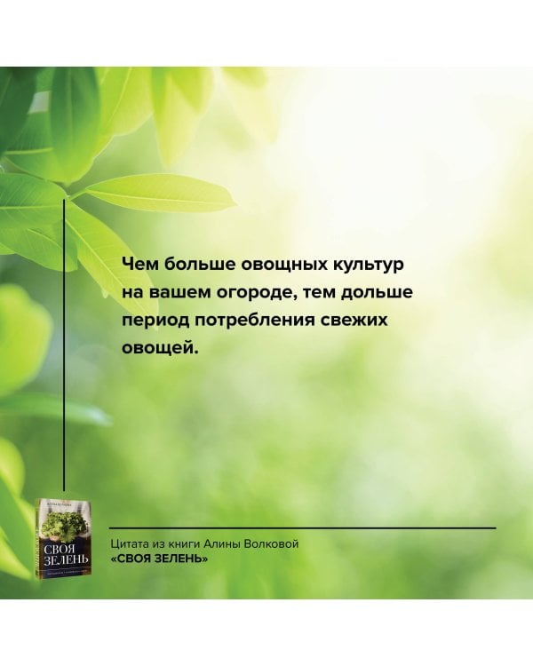 Своя зелень. Выращиваем, ухаживаем и едим