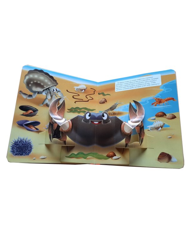 В море (6 объёмных элементов)