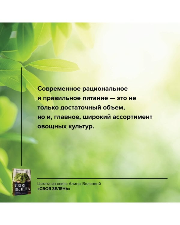 Своя зелень. Выращиваем, ухаживаем и едим