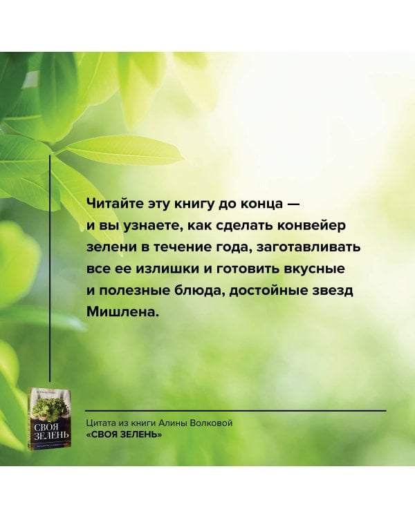 Своя зелень. Выращиваем, ухаживаем и едим