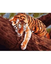 364-AS Тигр на дереве