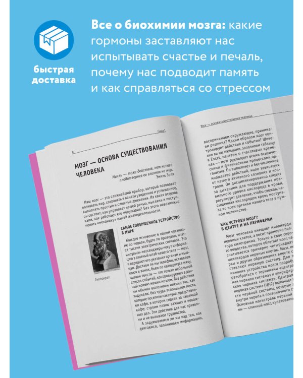 Гормоны и химия мозга. Знания, которые не займут много места