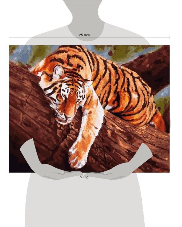 364-AS Тигр на дереве