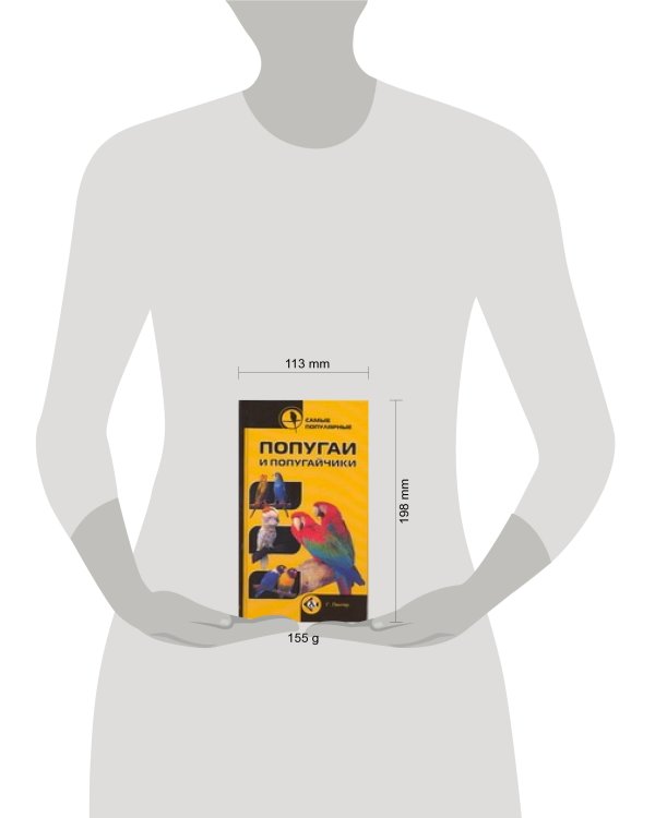 Самые популярные попугаи и попугайчики