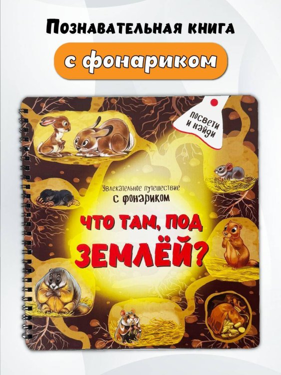 Книжка с фонариком "Что там под Землёй"