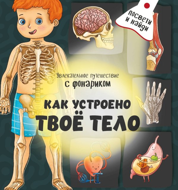 Книжка с фонариком "Как устроено твое тело"