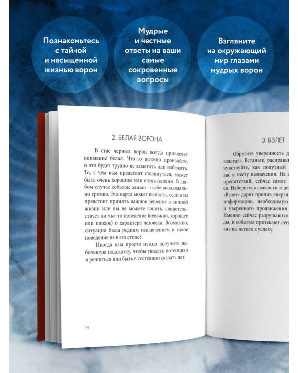 Оракул городской вороны (54 карты и руководство в коробке)