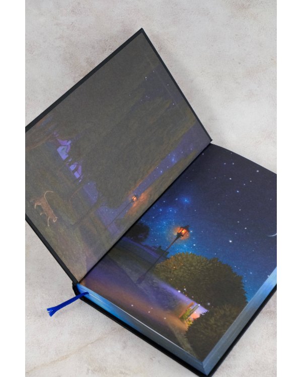 Темные начала. Книга 2. Чудесный нож