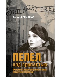 Пепел над пропастью