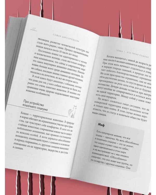 Кошачий закон и порядок. Как найти общий язык с кошкой и не стать жертвой ее капризов