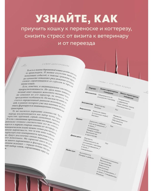 Кошачий закон и порядок. Как найти общий язык с кошкой и не стать жертвой ее капризов