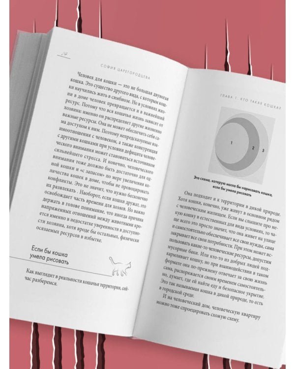 Кошачий закон и порядок. Как найти общий язык с кошкой и не стать жертвой ее капризов