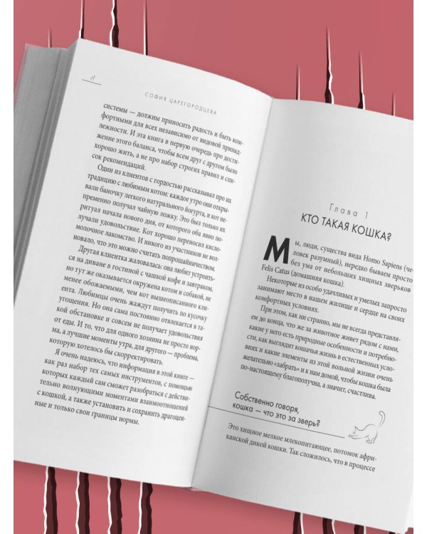 Кошачий закон и порядок. Как найти общий язык с кошкой и не стать жертвой ее капризов