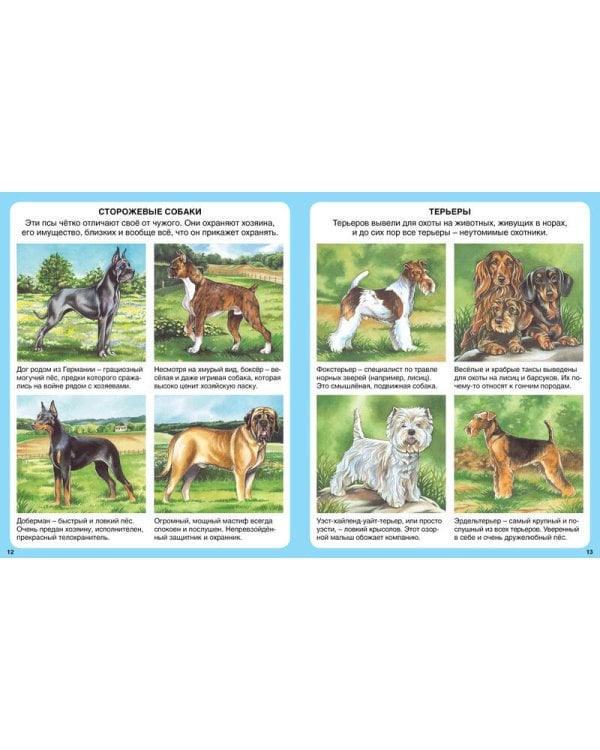 Домашние питомцы