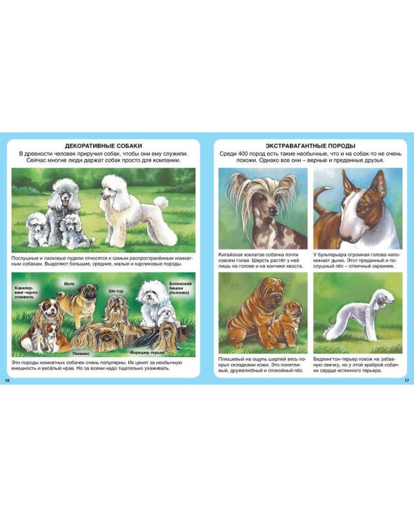 Домашние питомцы