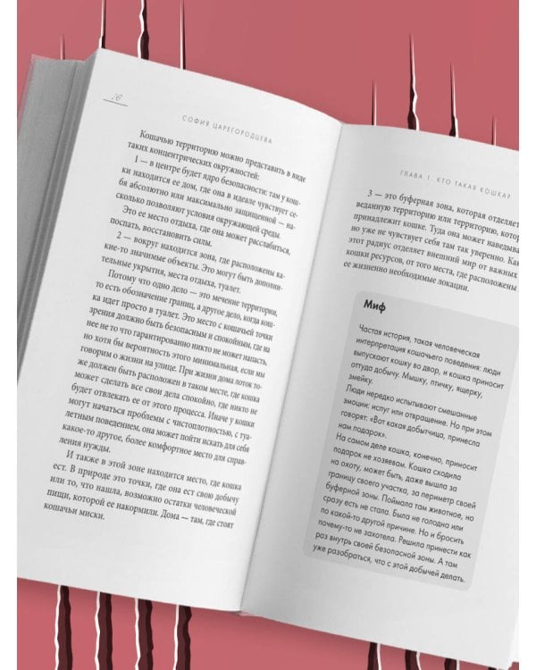 Кошачий закон и порядок. Как найти общий язык с кошкой и не стать жертвой ее капризов