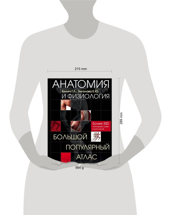 Анатомия и физиология. Большой популярный атлас