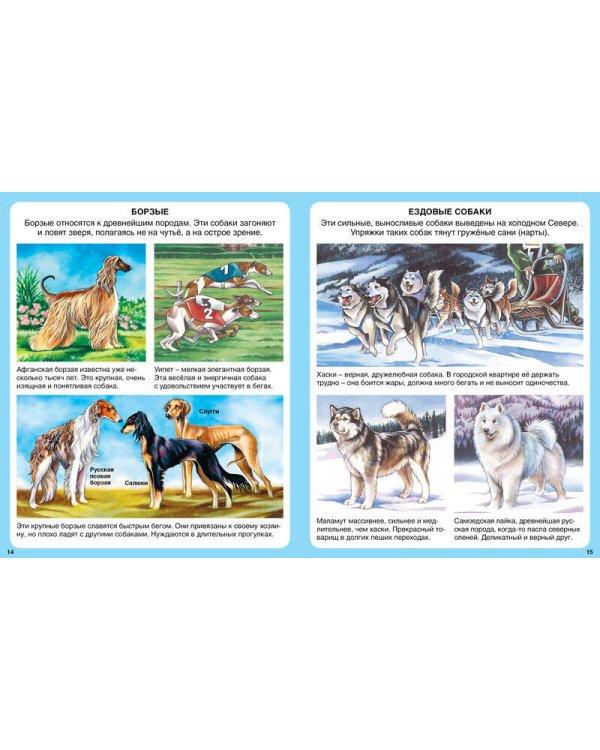 Домашние питомцы