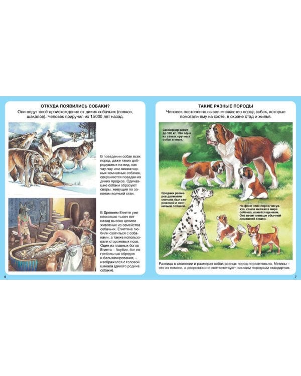 Домашние питомцы