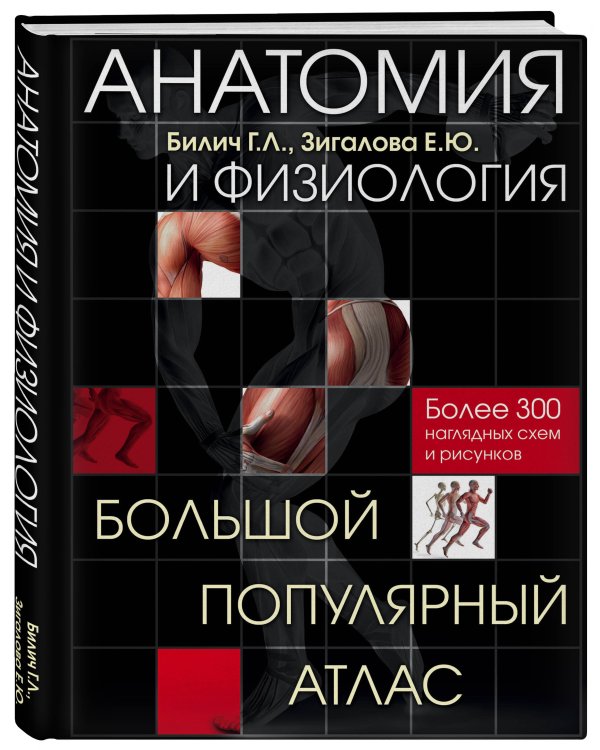 Анатомия и физиология. Большой популярный атлас