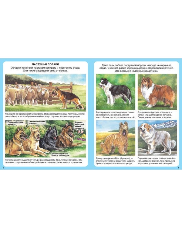 Домашние питомцы