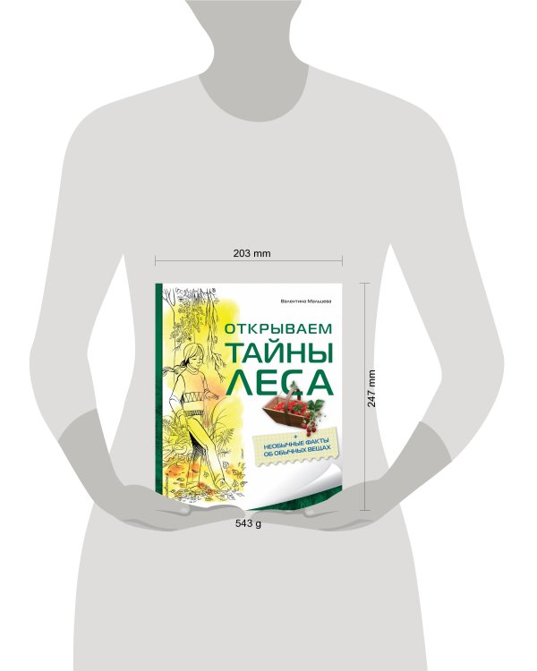 Открываем тайны леса