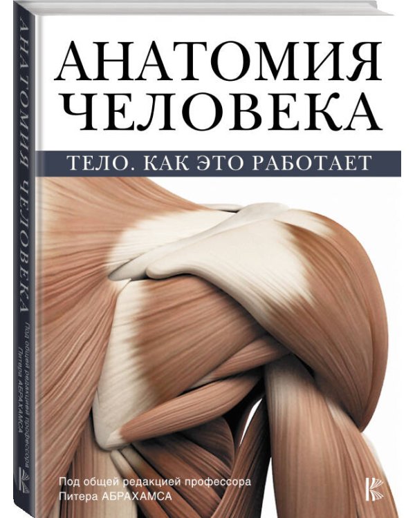 Анатомия человека