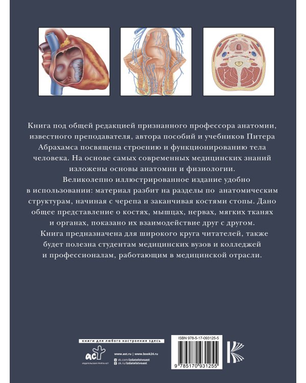 Анатомия человека