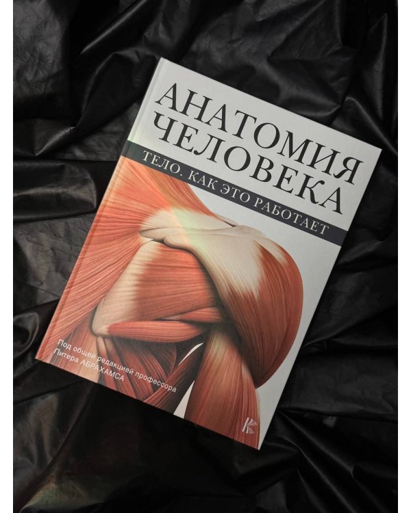 Анатомия человека