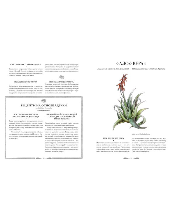 Атлас естественной красоты. Натуральные ингредиенты для ухода за кожей и приумножения вашей красоты