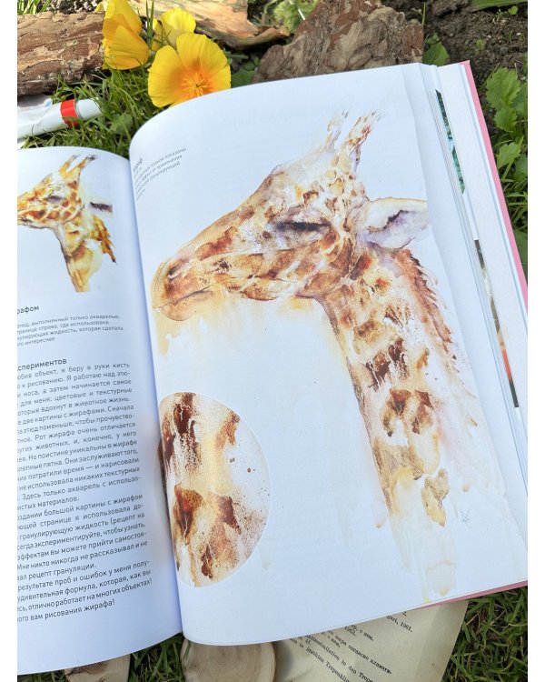 Животные акварелью от Джин Хэйнс. Медитативное рисование для контакта с собой и природой