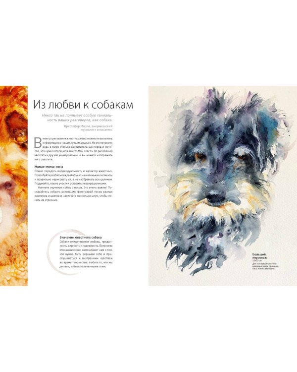 Животные акварелью от Джин Хэйнс. Медитативное рисование для контакта с собой и природой