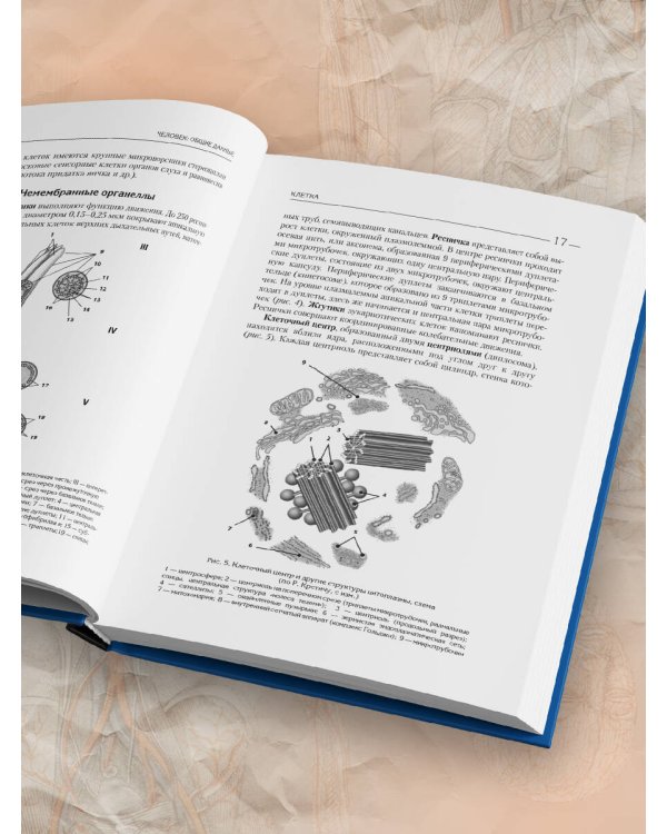 Атлас. Анатомия и физиология человека: полное практическое пособие. 2-е издание, дополненное