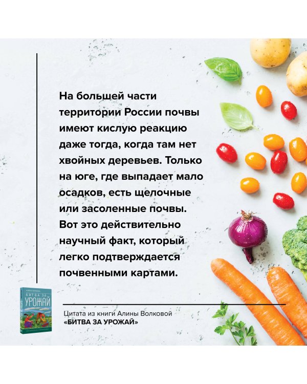 Битва за урожай. Как бороться с сорняками