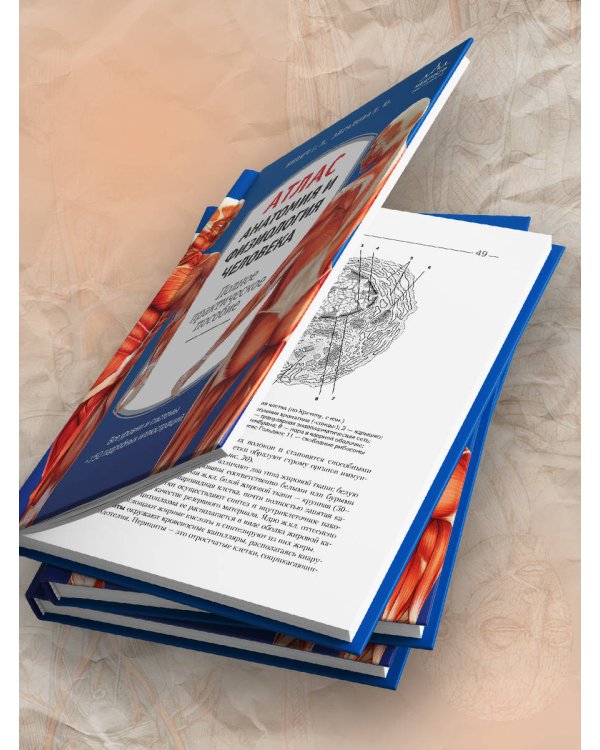 Атлас. Анатомия и физиология человека: полное практическое пособие. 2-е издание, дополненное