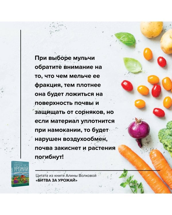 Битва за урожай. Как бороться с сорняками