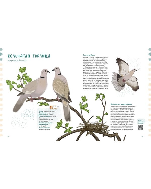 Птицы в деревне. Где найти и как узнать