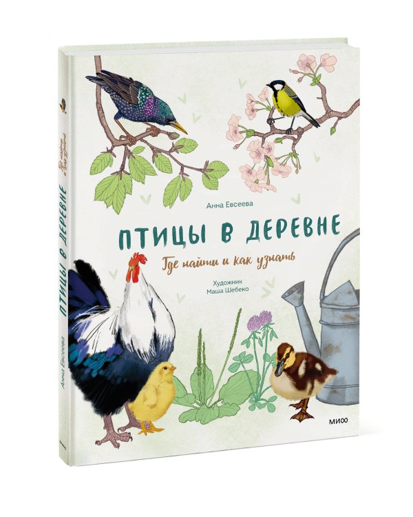 Птицы в деревне. Где найти и как узнать
