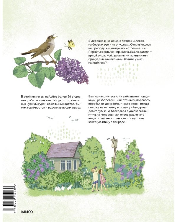 Птицы в деревне. Где найти и как узнать