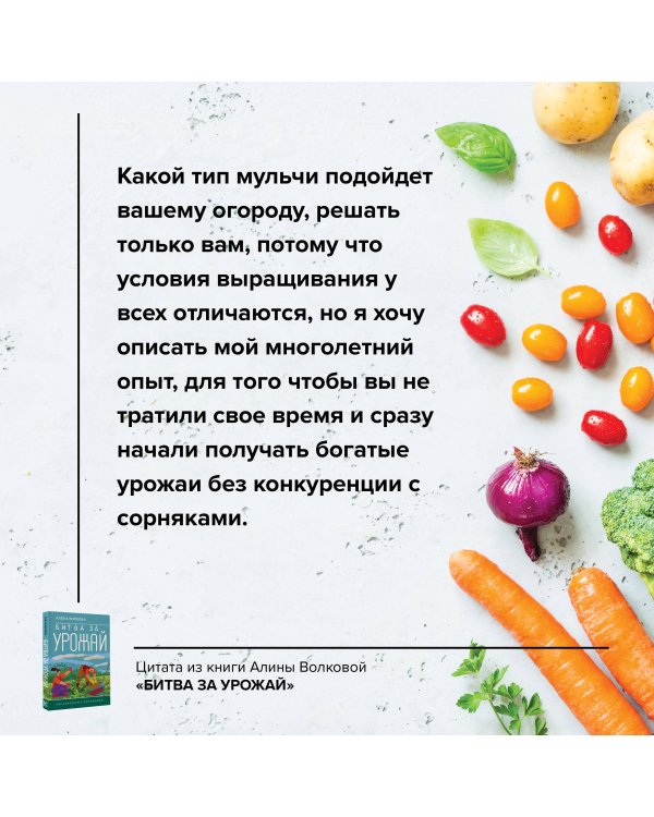 Битва за урожай. Как бороться с сорняками