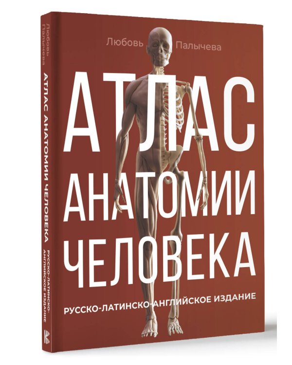 Атлас анатомии человека. Русско-латинско-английское издание