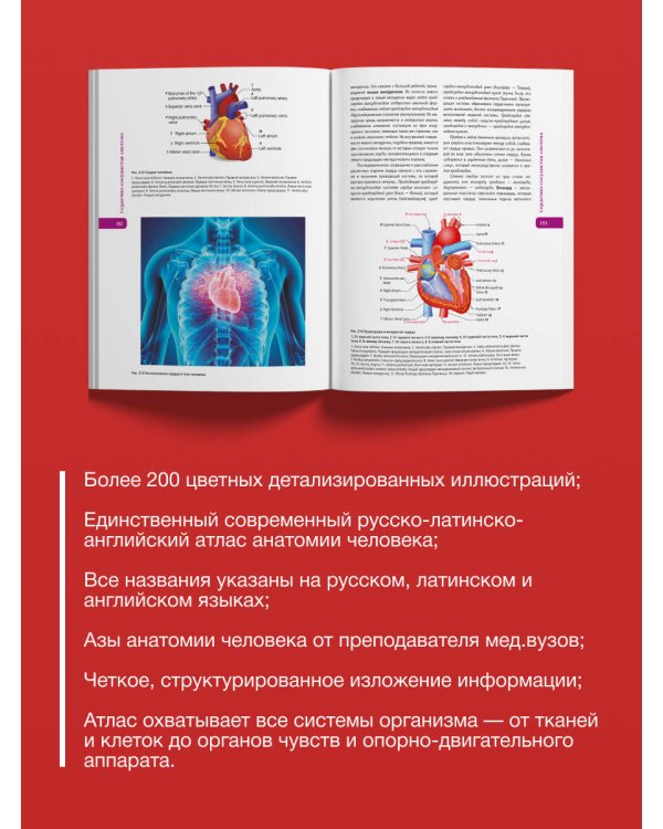 Атлас анатомии человека. Русско-латинско-английское издание