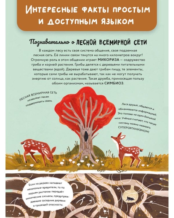 Чудеса природы. Пятиминутные истории для детей