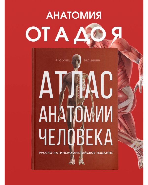 Атлас анатомии человека. Русско-латинско-английское издание