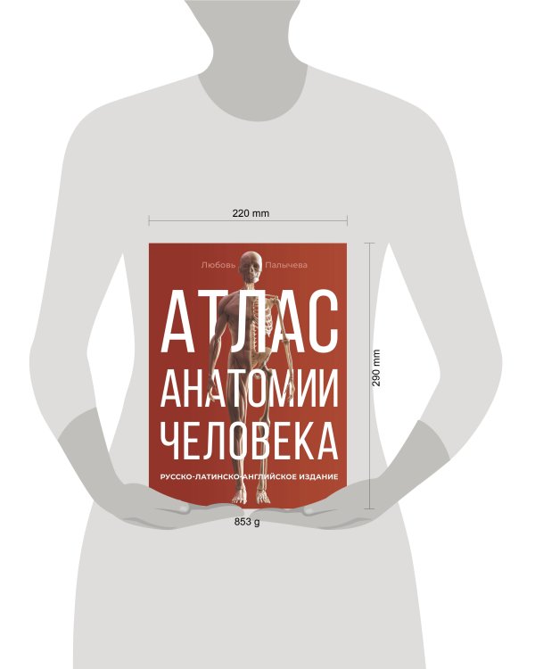 Атлас анатомии человека. Русско-латинско-английское издание