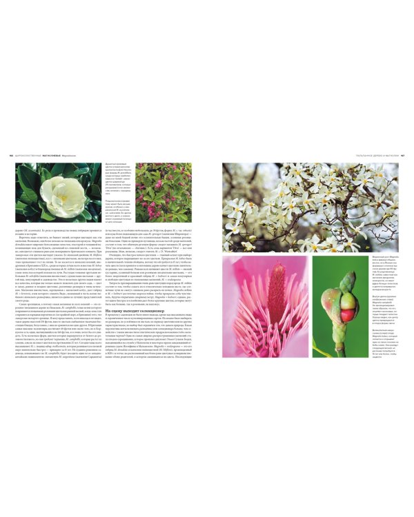 Деревья. Жизнеутверждающее путешествие по лесам, садам и паркам