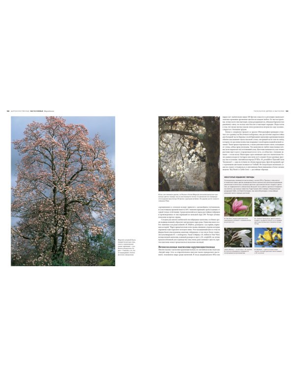 Деревья. Жизнеутверждающее путешествие по лесам, садам и паркам